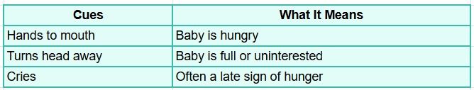 Hunger & Fullness Cues in Infants