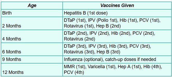 Infant Immunization Schedule: Birth to 12 Months