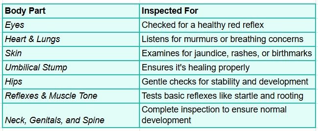 What Happens During a Baby’s First Pediatric Visit | Head-to-Toe Physical Examination