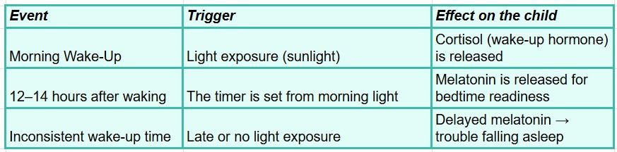 Why Consistent Wake-Up Time Matters